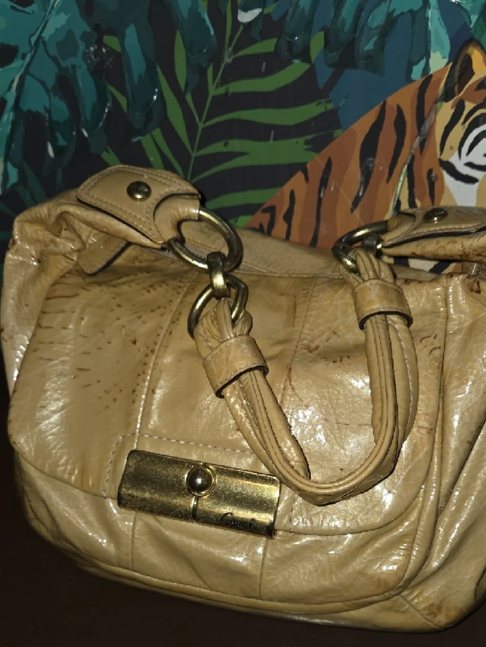 Coach Tan Leather Hobo Bag with Gold Hardware